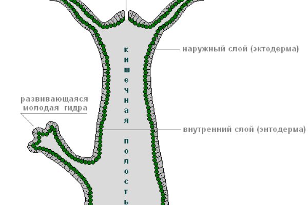 Не работает сайт через тор омг